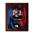 2025 UIL Baseball State Championships 8x10 Plaque